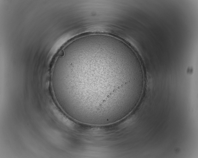 X0000111391075200907171240