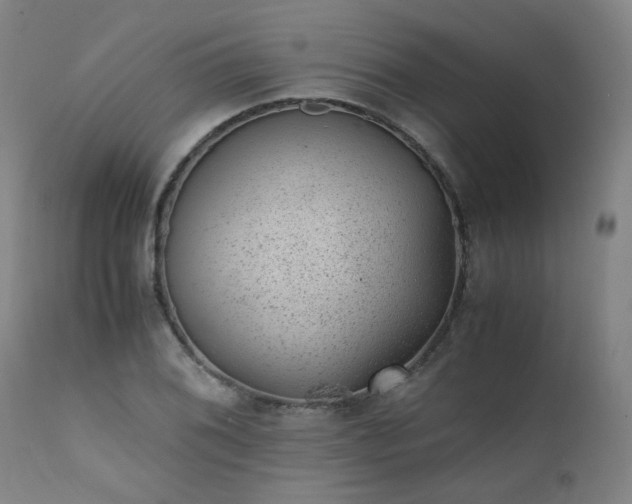 X0000111391076200907171240