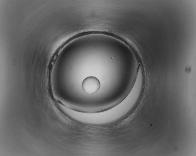 X0000111391077200907171240