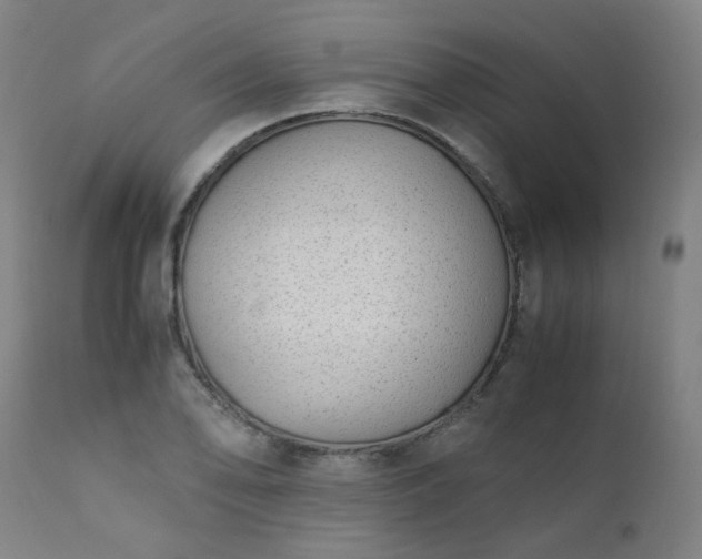 X0000111391078200907171240