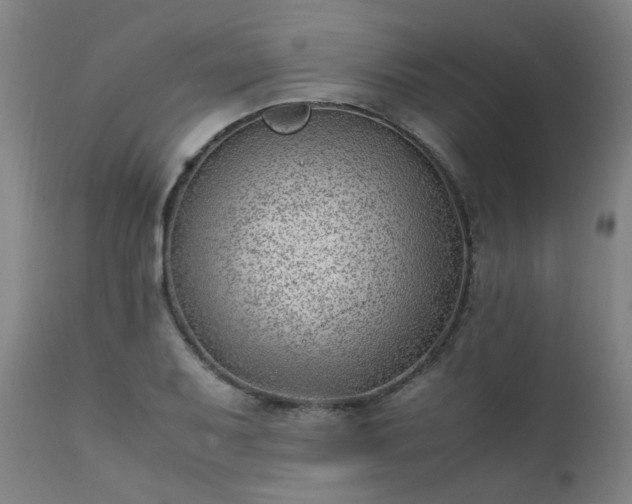 X0000111391079200907171240