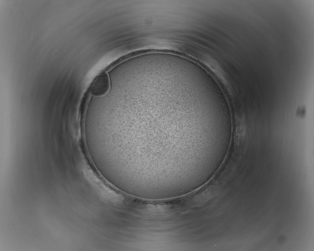 X0000111391080200907171240