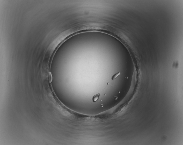 X0000111391081200907171240