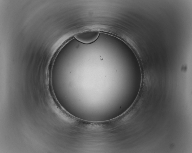 X0000111391082200907171240