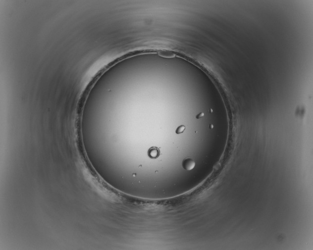 X0000111391085200907171240