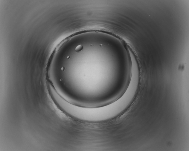 X0000111391086200907171240