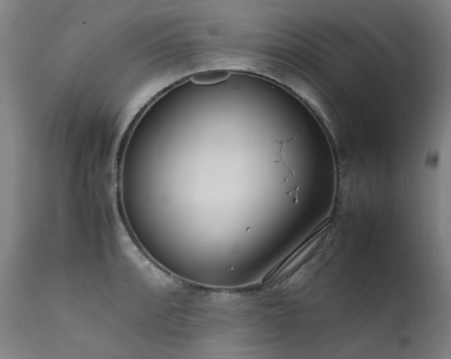 X0000111391088200907171240