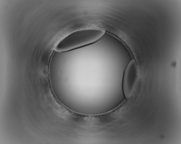 X0000111391089200907171240