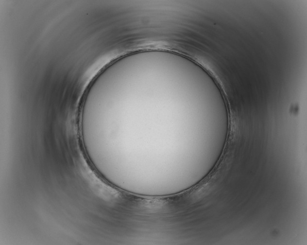 X0000111391090200907171240