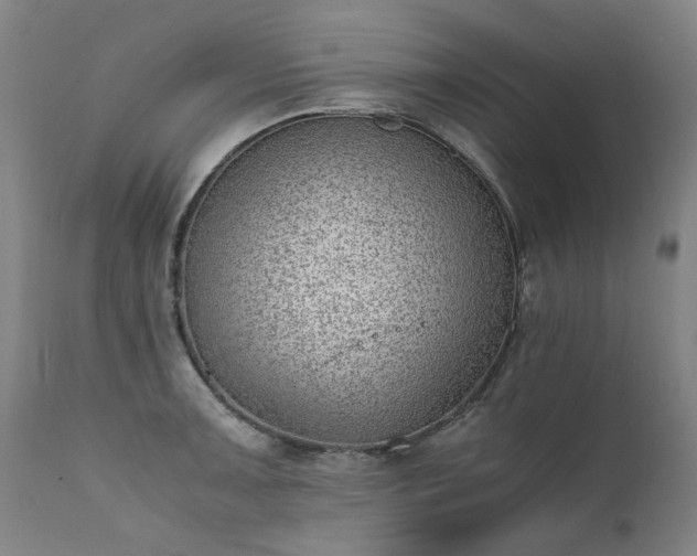 X0000111391091200907171240