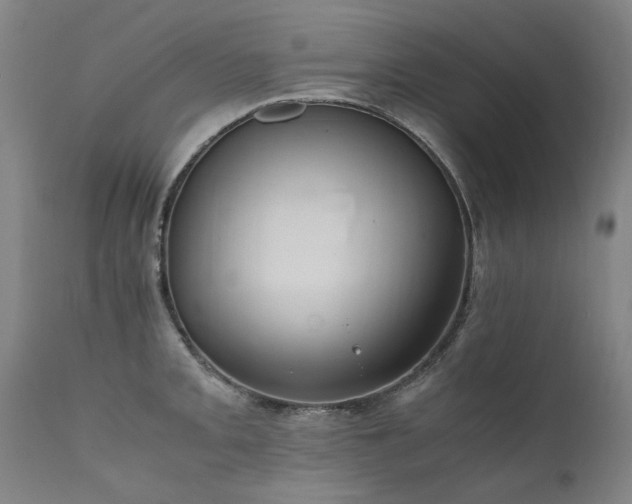 X0000111391093200907171240