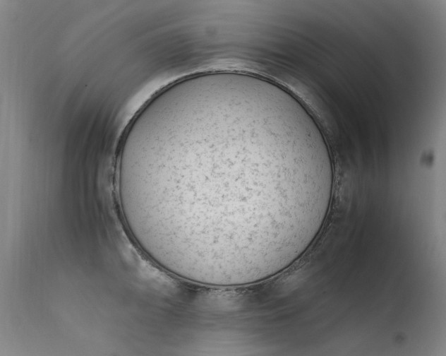 X0000111391094200907171240