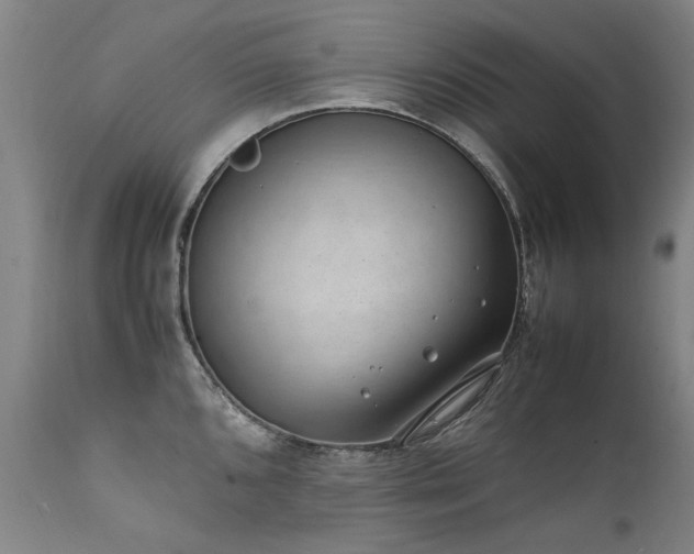 X0000111391096200907171240