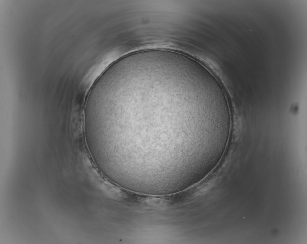 X0000111391097200907171240