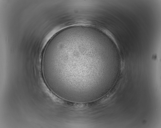 X0000111391099200907171240