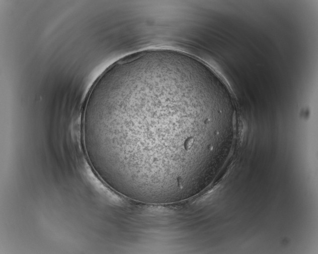 X0000111391100200907171240