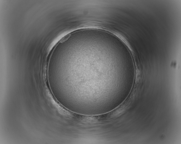 X0000111391101200907171240