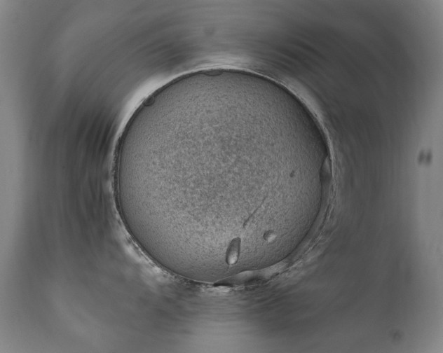 X0000111391104200907171240