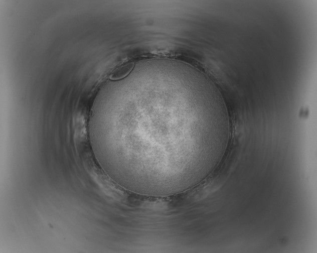 X0000111391106200907171239