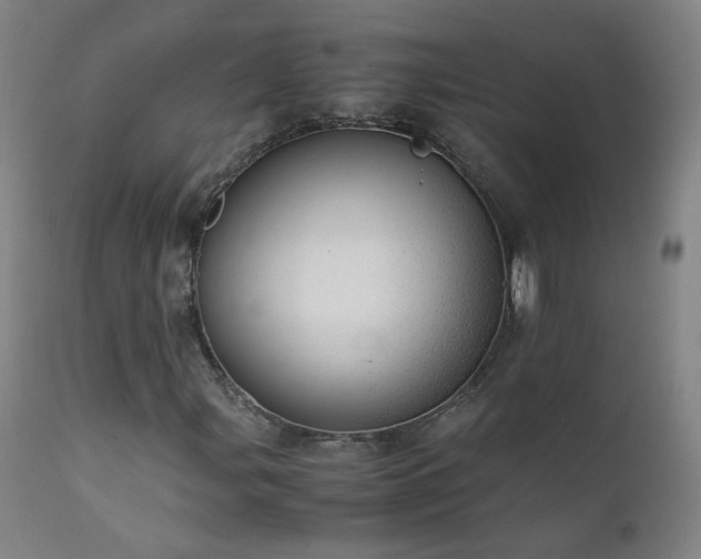 X0000111391107200907171239