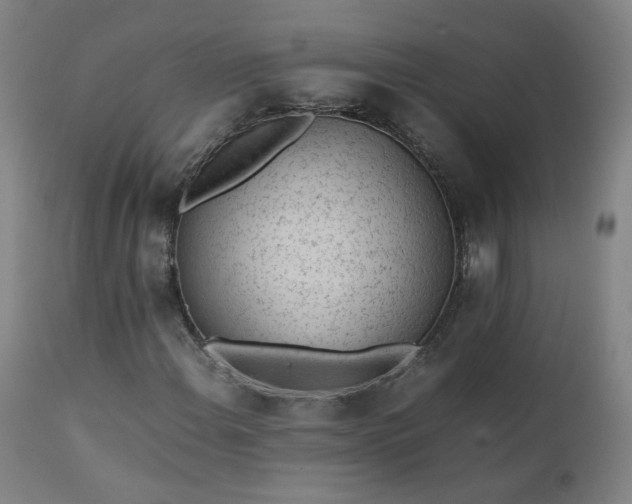 X0000111391108200907171239