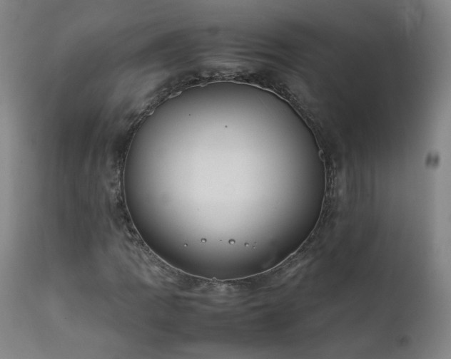 X0000111391109200907171239