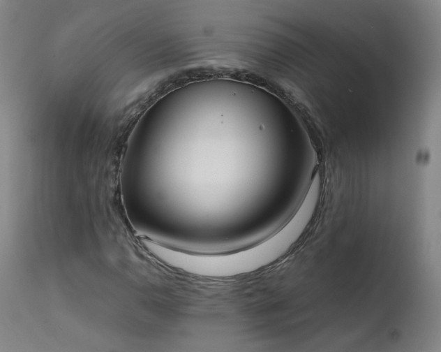 X0000111391110200907171239