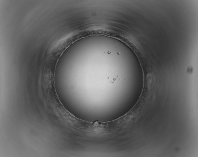 X0000111391111200907171239