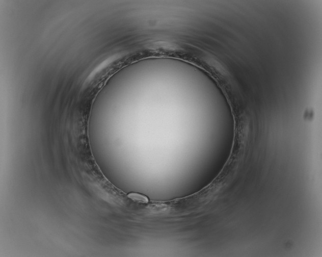 X0000111391112200907171239