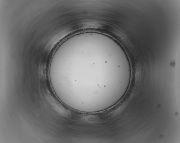 X0000111391113200907171239