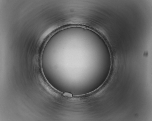 X0000111391114200907171239