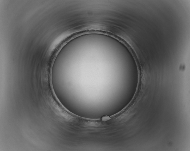 X0000111391115200907171239