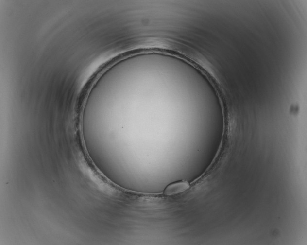 X0000111391116200907171239