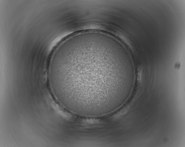 X0000111391117200907171239