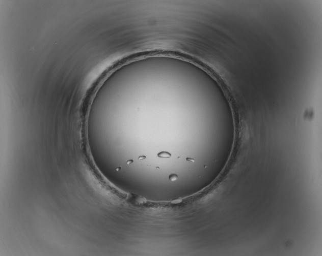 X0000111391118200907171239