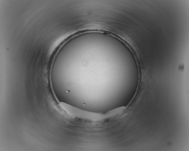 X0000111391120200907171239