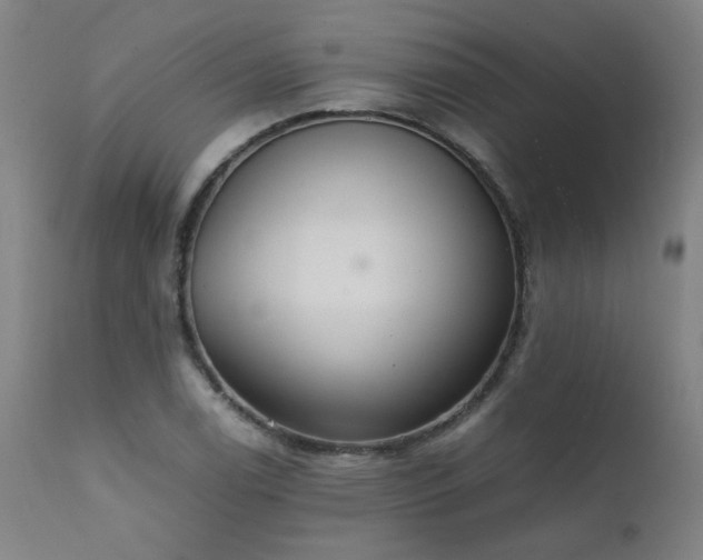 X0000111391122200907171239