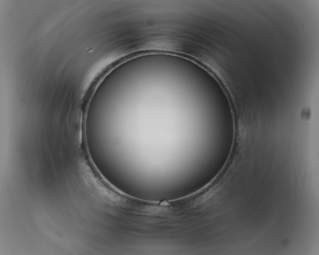 X0000111391123200907171239