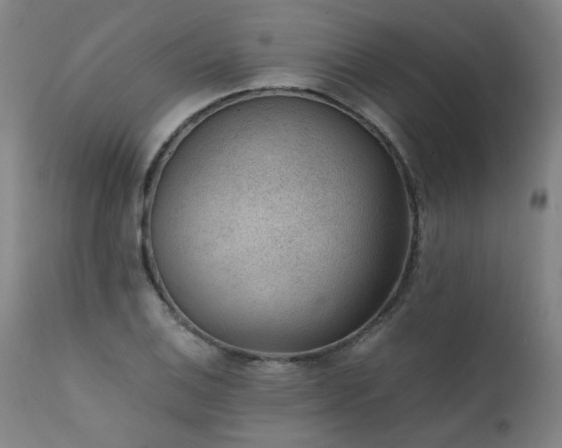 X0000111391124200907171239