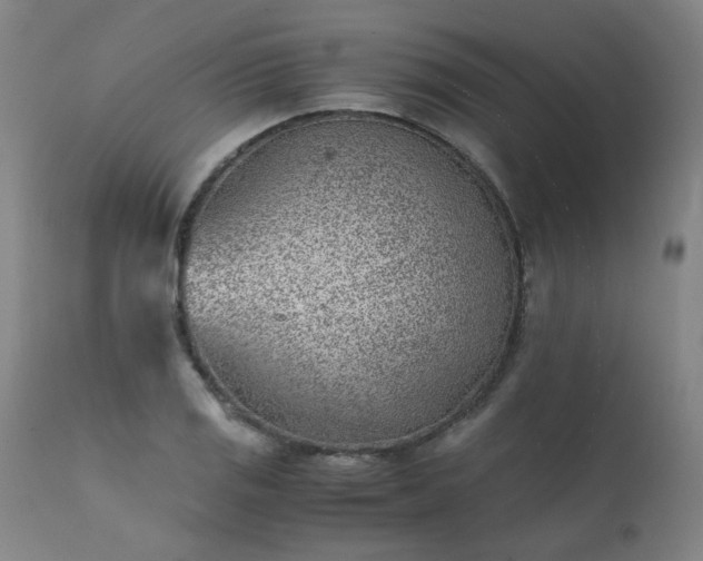 X0000111391125200907171239