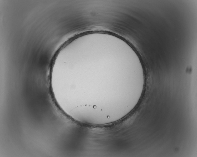 X0000111391126200907171239