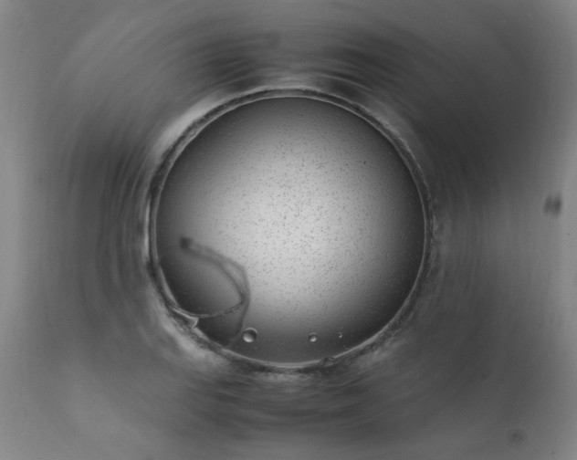 X0000111391127200907171239