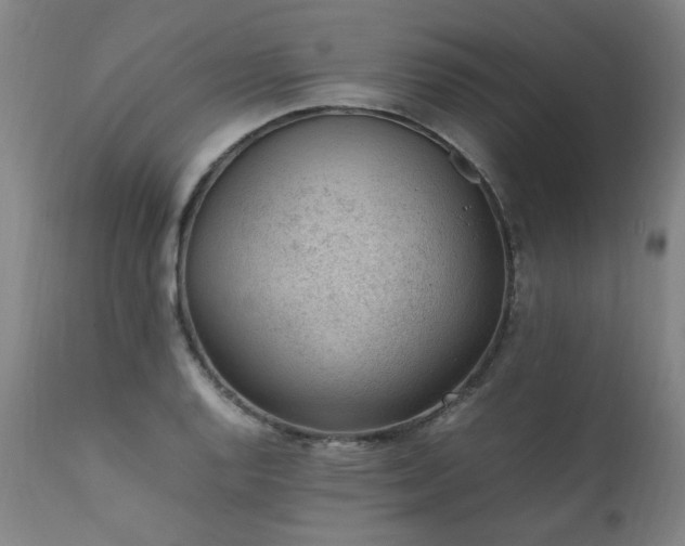 X0000111391128200907171239