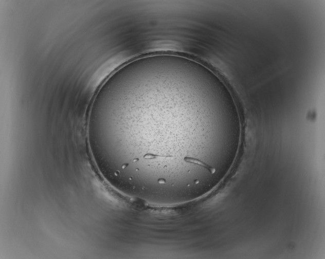 X0000111391129200907171239