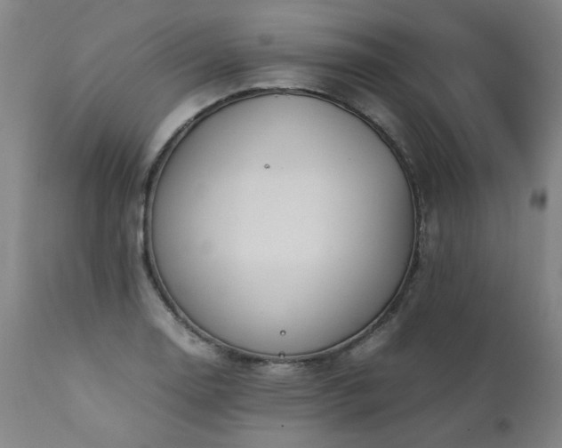 X0000111391130200907171239