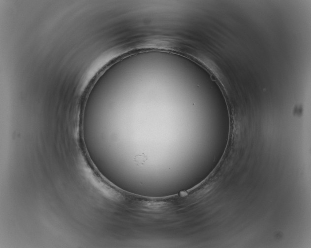 X0000111391131200907171239