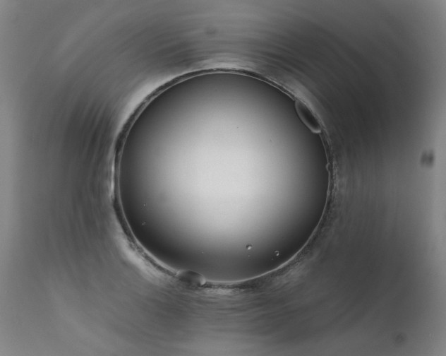 X0000111391132200907171239