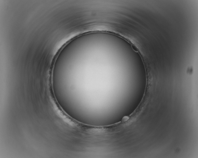 X0000111391134200907171239