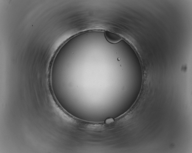 X0000111391135200907171239