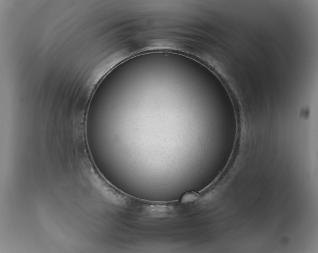 X0000111391137200907171239